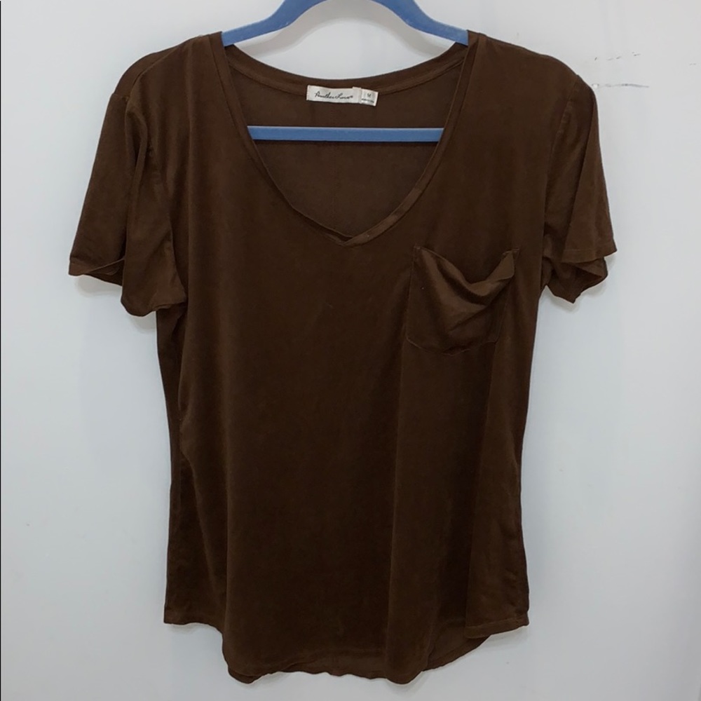 Brown Velvet Top